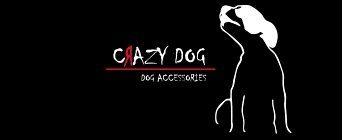 crazy logo — kopia